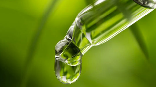 CBD HITS THE HEADLINES